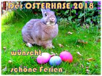 Osterhase-2018-1